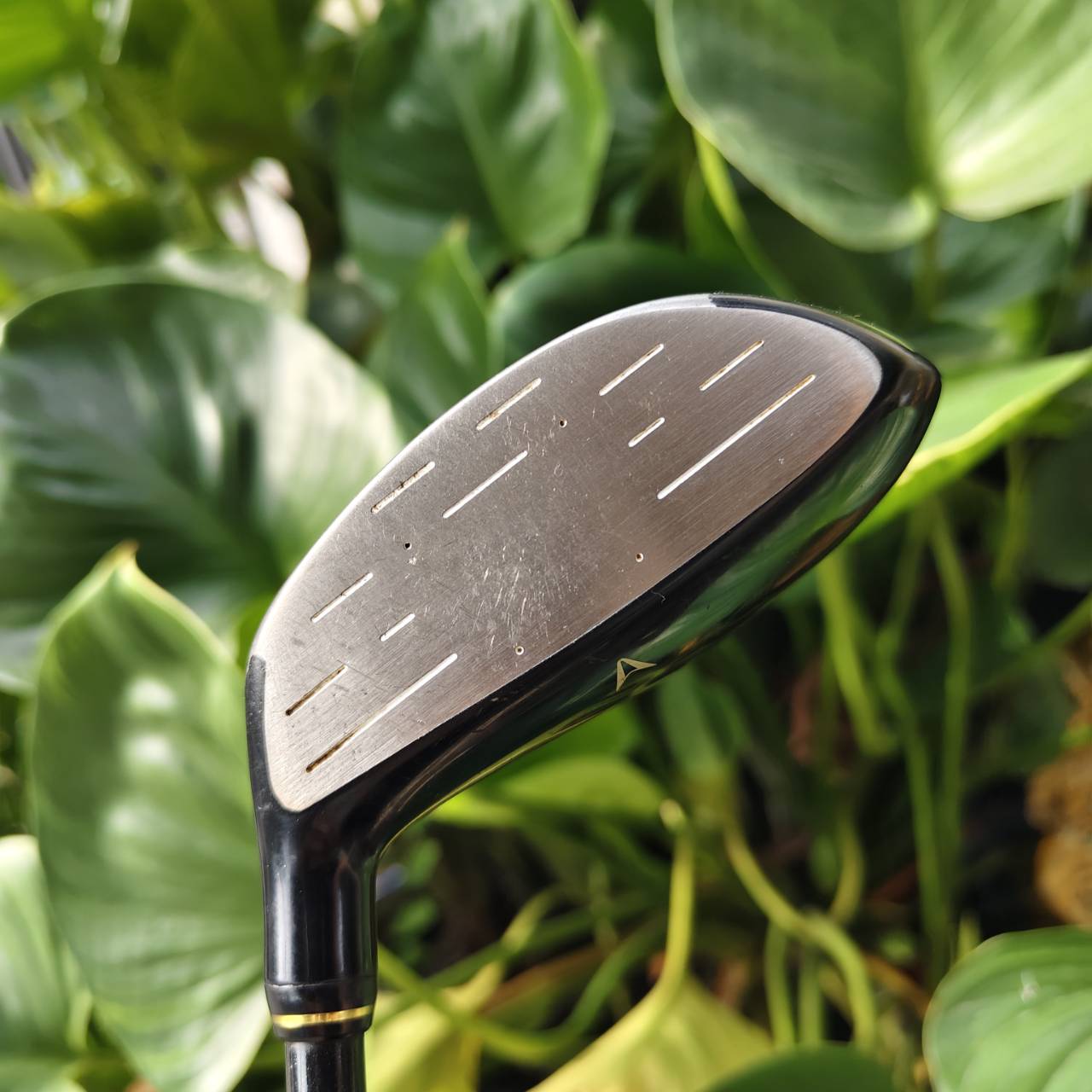 4W XXIO IMPACT POWER BODY “ตีง่าย–ยกง่าย–ระยะดี” จากซีรีส์ยอดนิยมของ XXIO