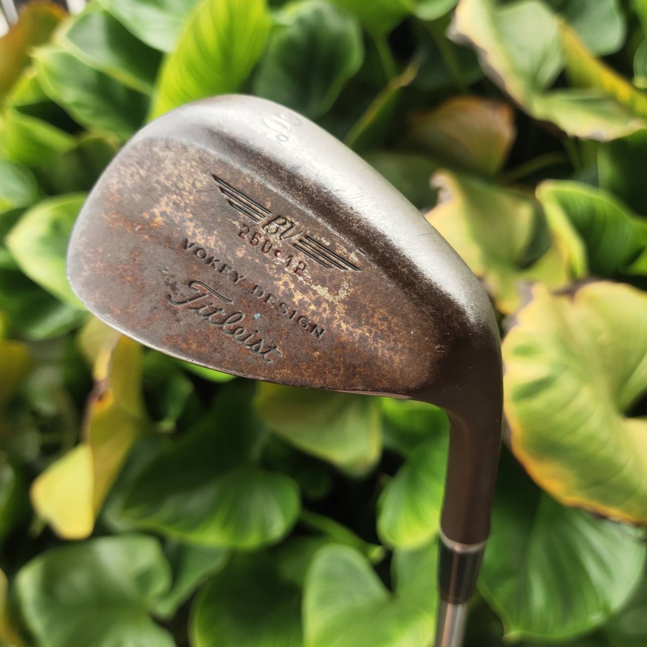 WEDGE VOKEY DESIGN 260-12 ระดับตำนาน! รุ่นสนิมแท้ RAW FINISH ที่นักกอล์ฟสายเทคนิคหลงรัก!