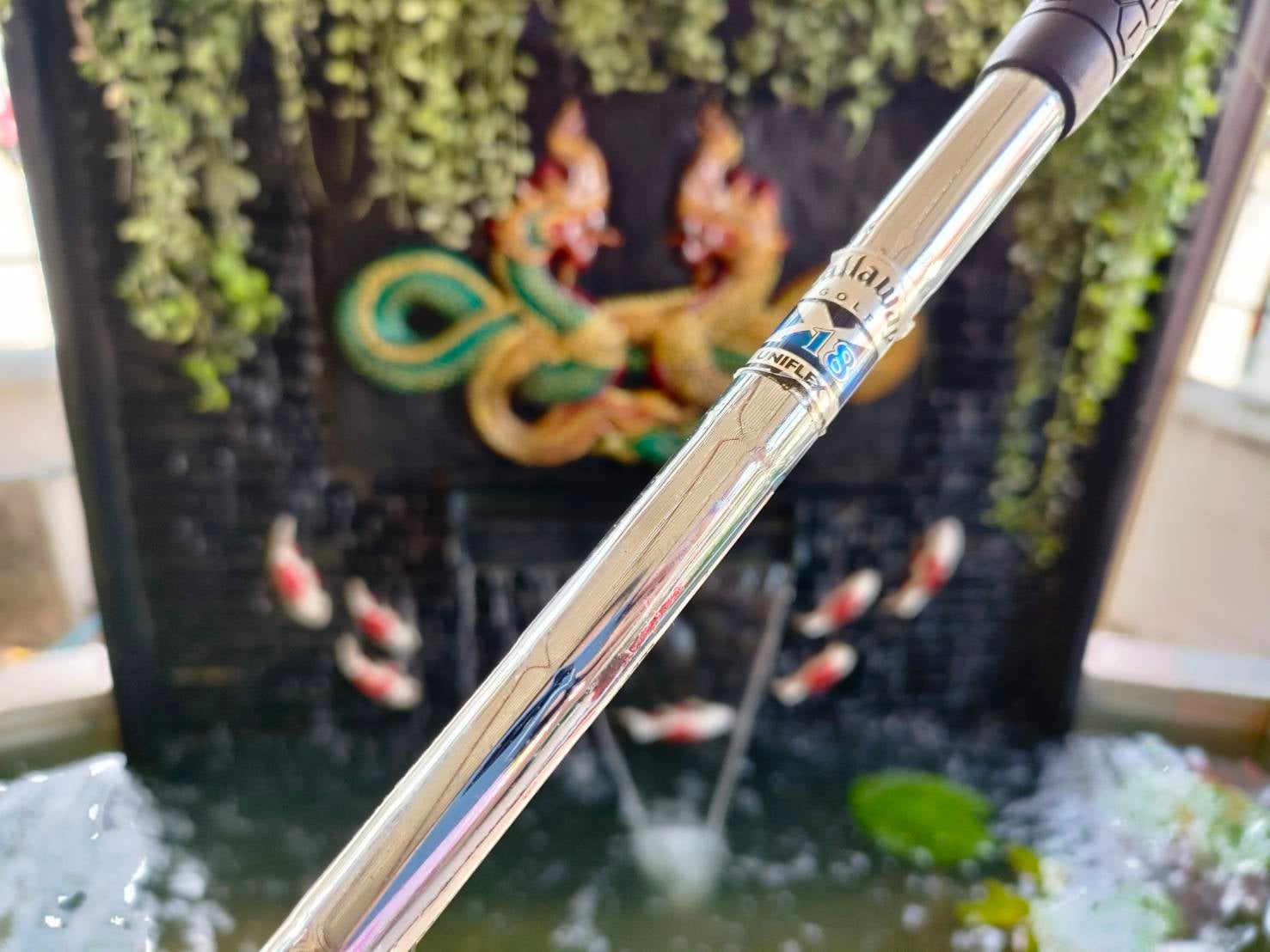 WEDGE MIURA องศา 56 เบาส์ 9