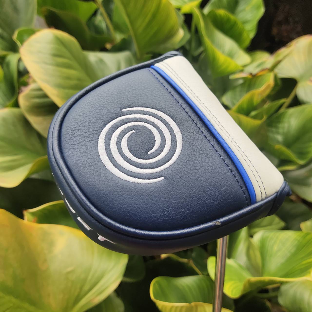 PUTTER ODYSSEY AI-ONE #7 CH 34 นิ้ว COVER แท้เดิม เบอร์ 7 เป็นรูปทรงที่นิยมสูงสุดในตอนนี้