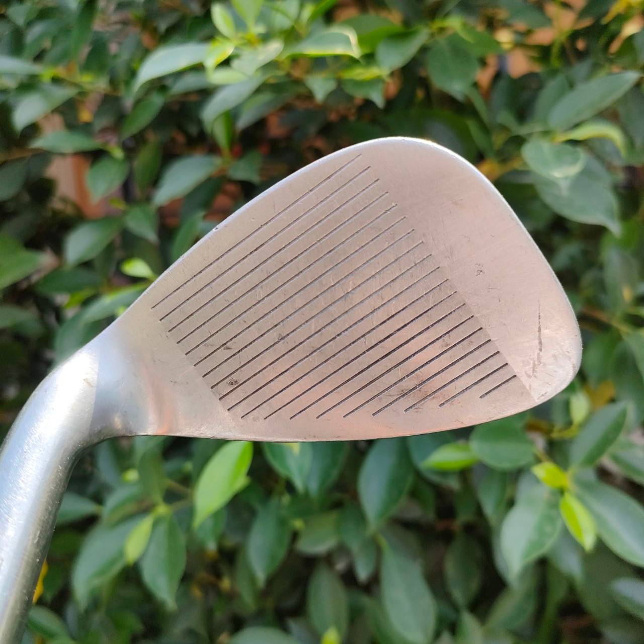 PW LYNX MASTER MODEL ก้าน DYNAMIC GOLD R300 WEDGE คมๆ สับๆ มันส์ๆครับ