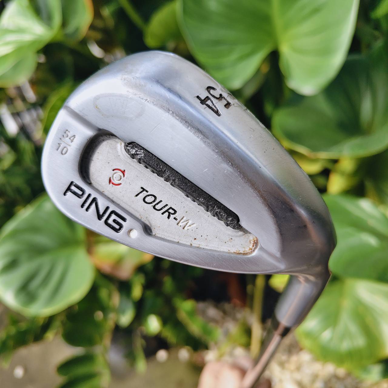 WEDGE PING TOUR-W – 54° | Bounce 10° ความแม่นยำรอบกรีนที่คุณต้องลอง!