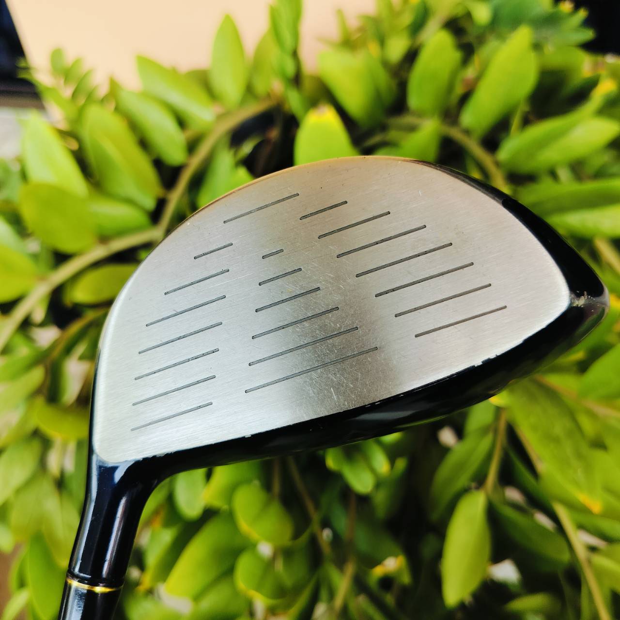 Driver TOURSTAGE VIQ องศา 10.5 ก้านเดิมพรีเมี่ยม เบา 48 กรัม FLEX R ไม้พรีเมี่ยมญี่ปุ่น ในราคาที่เบาแสนเบา ไม้กอล์ฟพรีเมี่ยมมือสอง ของแท้ By NakaraLuxurious