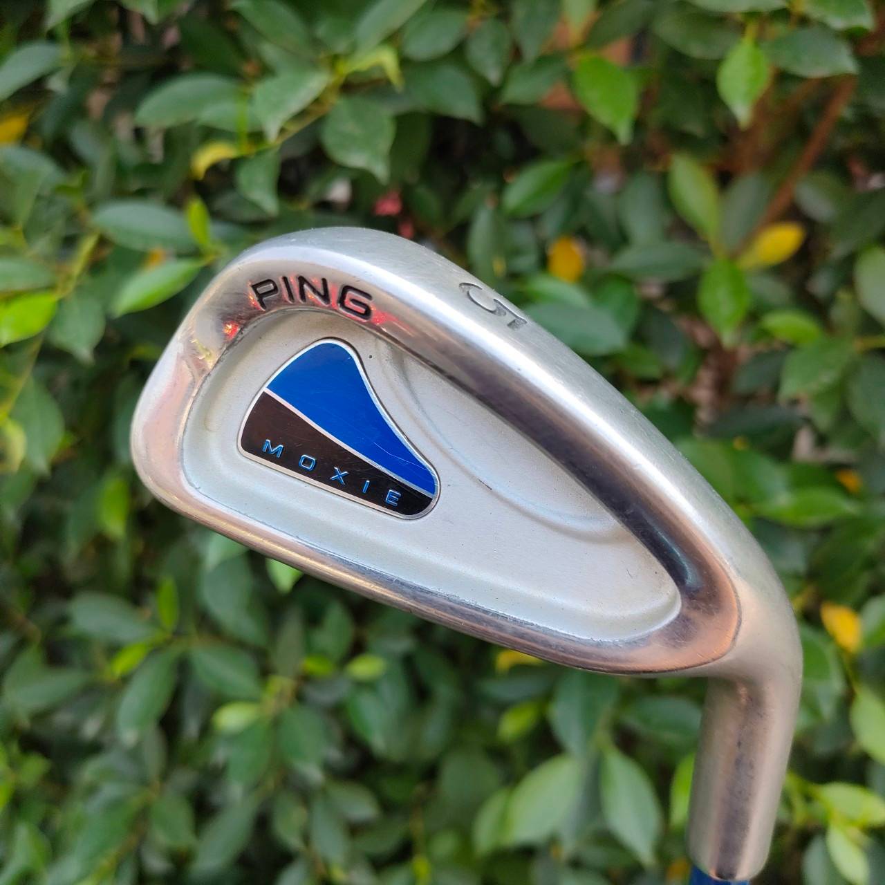 ** ไม้กอล์ฟสำหรับเด็ก ** เหล็ก 5 PING MOXIE ก้าน PING MOXIE FLEX Y ความยาว 34 นิ้ว เป็นเหล็กเด็กที่คุณภาพสูงสุด