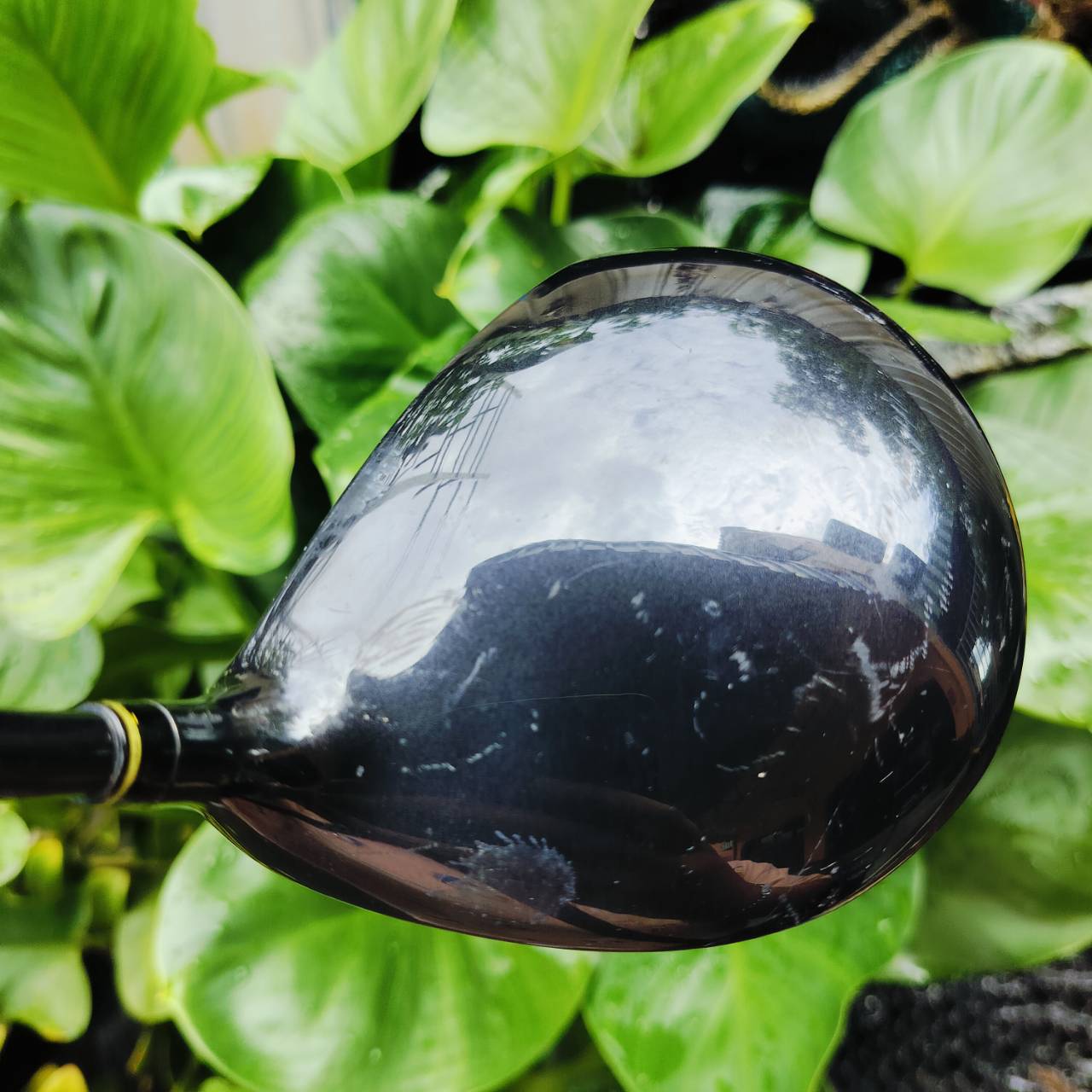 Driver KASCO POWER TORNADO รุ่น DD-FOUR S-AGING TITANIUM หน้าเด้งตีไกลมากๆค่ะ พรีเมี่ยมญี่ปุ่น ไม้กอล์ฟพรีเมี่ยมมือสอง ของแท้ By NakaraLuxurious