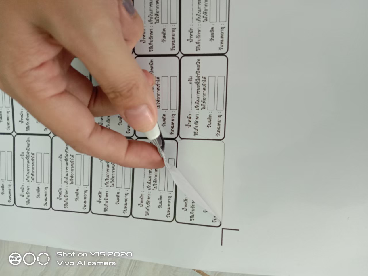 งานสติกเกอร์ไดคัท