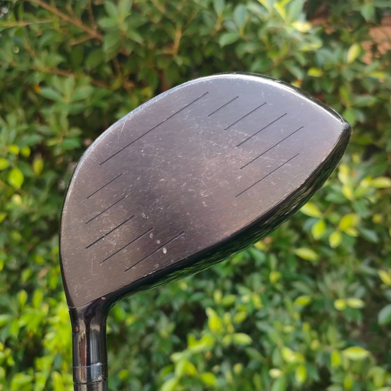 DRIVER ROYAL WEAPON SHO-BU ก้าน ROYAL WEAPON SHO BU FLEX R สุดยอด Driver หน้าเด้ง พรีเมี่ยมญี่ปุ่น!! ไม้กอล์ฟมือสอง ของแท้ BY NakaraLuxurious