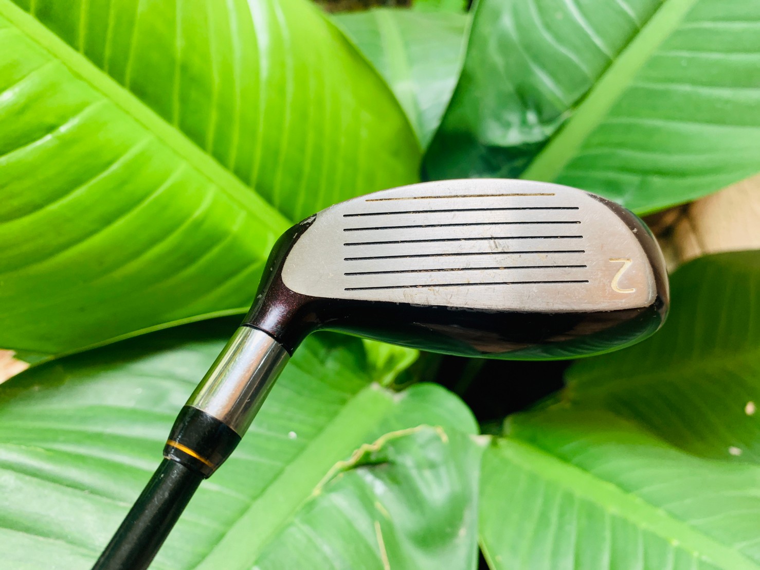 HYBRID PRGR H/S SUPER IRON