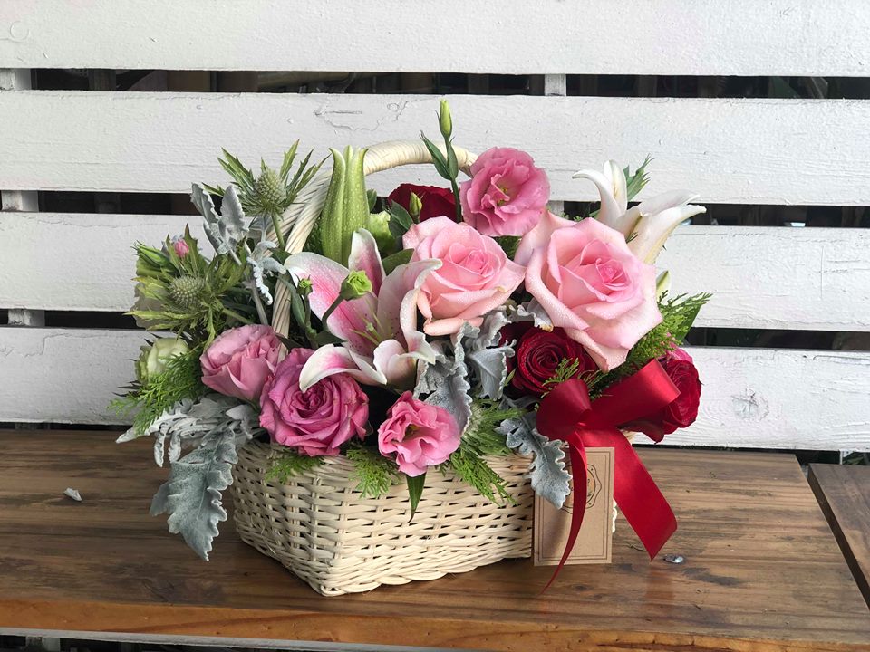 Basket-19