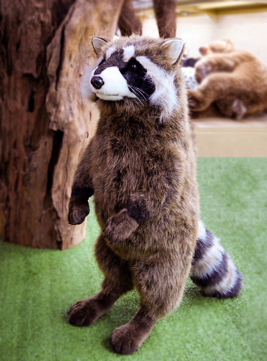 8412 Raccoon 65 cm H - ตุ๊กตาแรคคูน