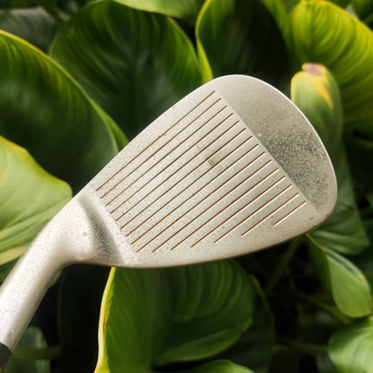 AW KASCO INDEED EX MARAGING!!! หน้าเด้งจัดๆ ตีง่ายมาก