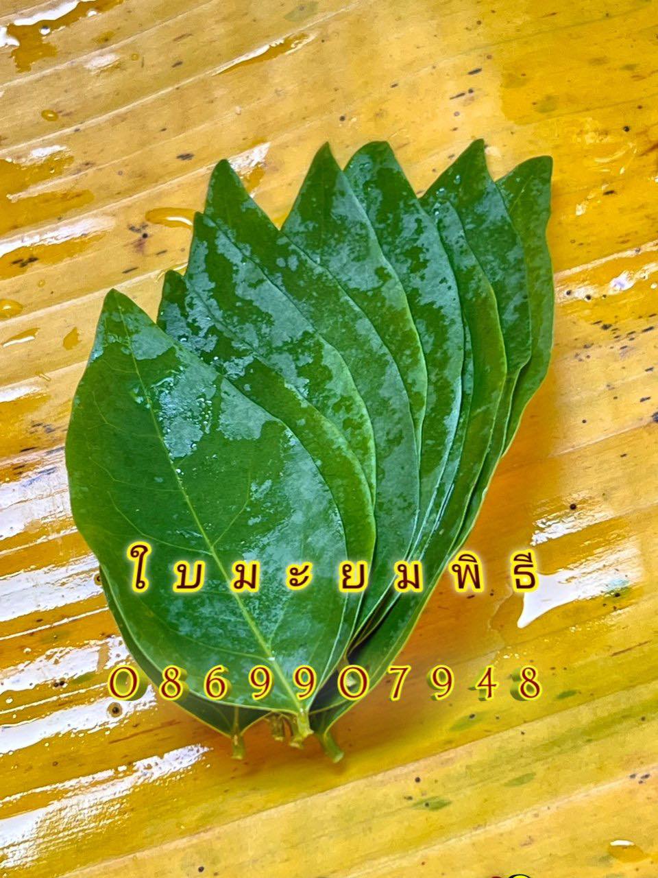 ใบไม้มงคล (พิธี)