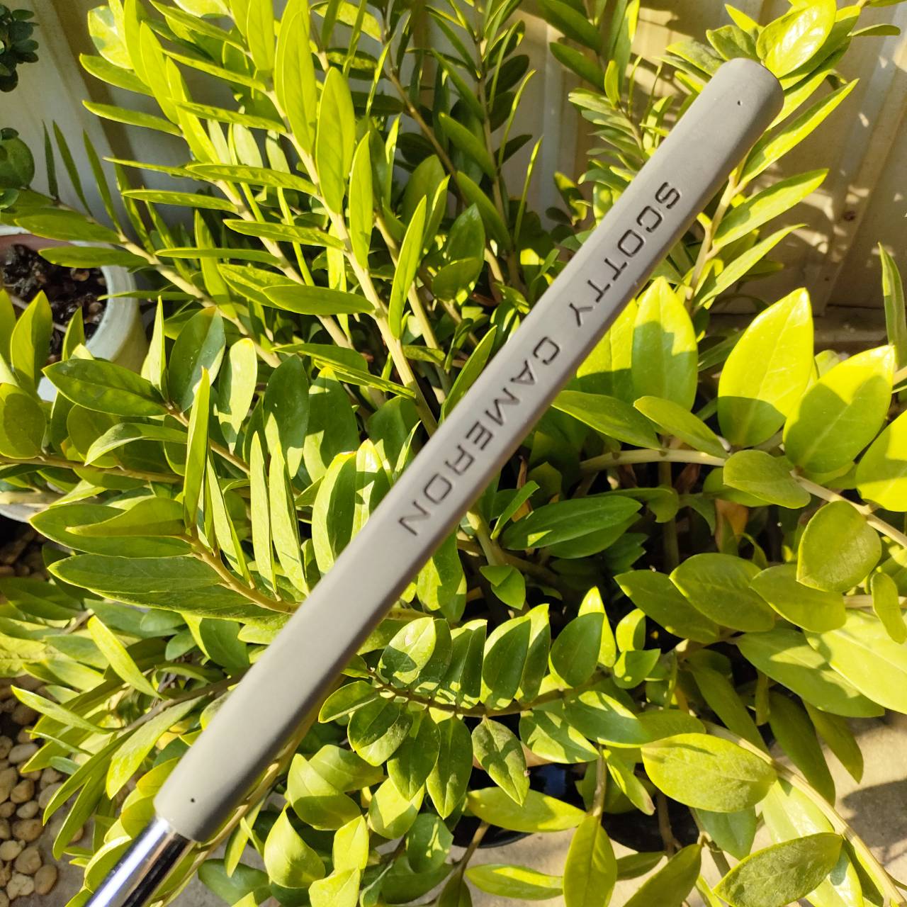 PUTTER TITLEIST LIMITED EDITION SCOTTY CAMERON CHAMPIONS CHOICE NEWPORT 2 BUTTON BACK 35 นิ้ว สภาพสวยจัด มี COVER แท้เดิมด้วย ไม้กอล์ฟมือสอง ของแท้ BY NakaraLuxurious