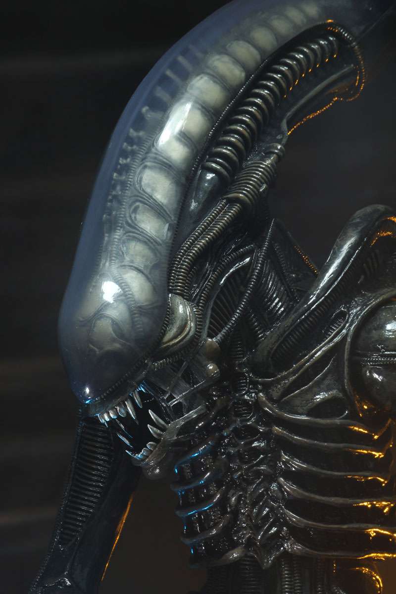 [สั่งจอง] Neca : Alien [Reissue]