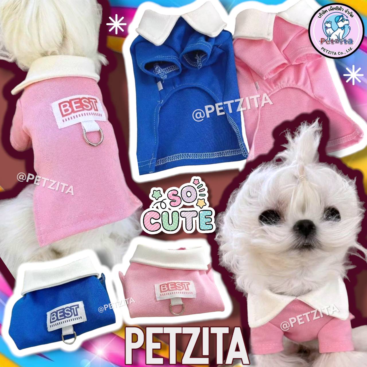 🇹🇭พร้อมส่ง🇹🇭🐻🐻🐻 เสื้อคอปก ดีไซน์น่ารัก งานแบรนด์ pet เสื้อสุนัข หมา แมว สัตว์เลี้ยง