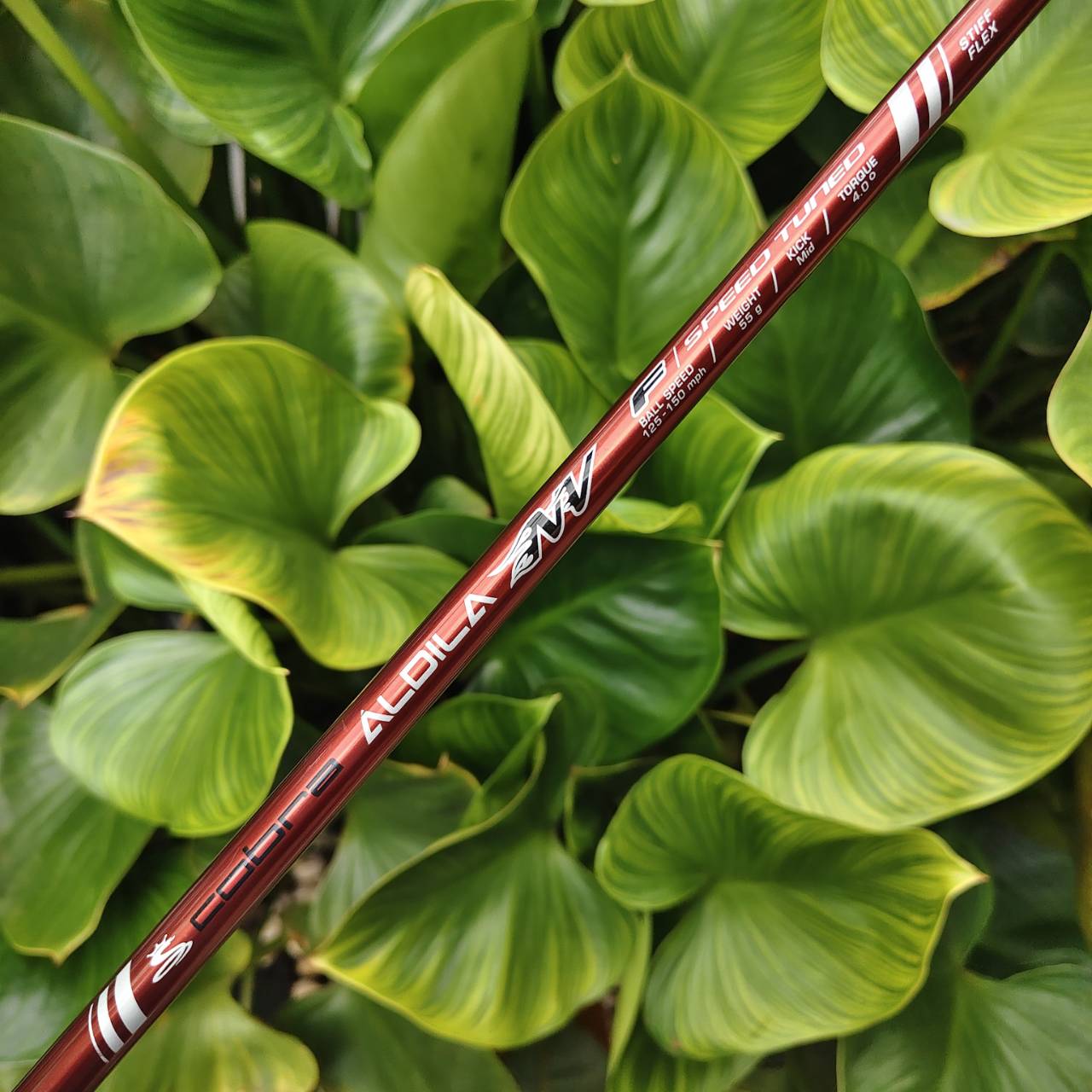 Driver King Cobra Speed LD 5000 Inertia F (Loft 9°) ก้าน ALDILA NV FLEX S