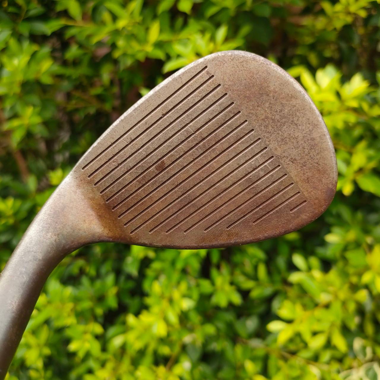 WEDGE TAYLORMADE RAC FE2O3 องศา 56 BOUNCE 12 ก้าน DYNAMIC GOLD S200 รุ่นนี้ใช้เนื้อเหล็กแท้ให้ฟีลลิ่งที่นุ่มกว่า และไม่ได้เคลือบ จะได้ความรู้สึกสดกว่า สปิดจัดหน้าคมจัด ตกหยุดถอยหลังเลยครับ ไม้กอล์ฟมือสอง ของแท้ BY NakaraLuxurious
