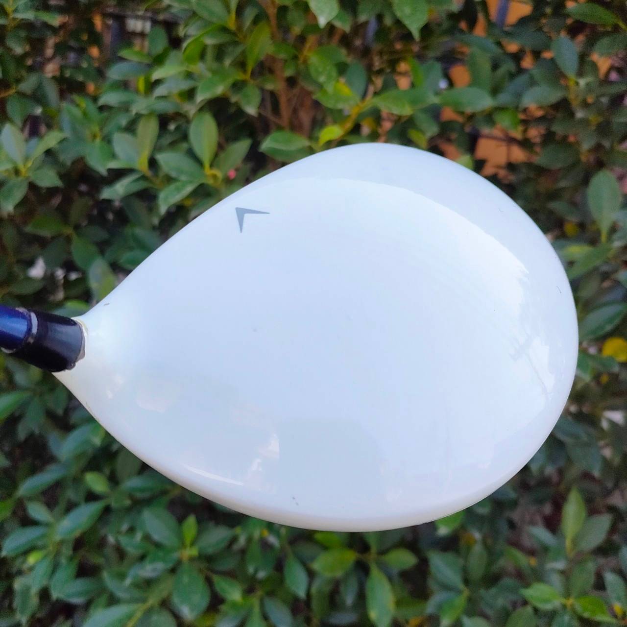 DRIVER CALLAWAY LEGACY หัวทำสีมา รุ่นปี 2010 สำหรับ ท่านที่ไม่ซีเรียส คุณภาพตีดีมากๆ