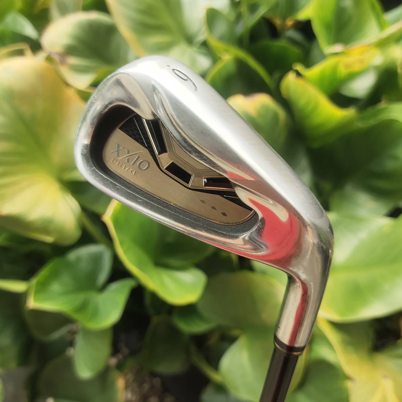 XXIO PRIME SP600 ที่สุดของความหรูหราในวงการกอล์ฟ ชุดนี้ของใหม่เกือบแสน!!!