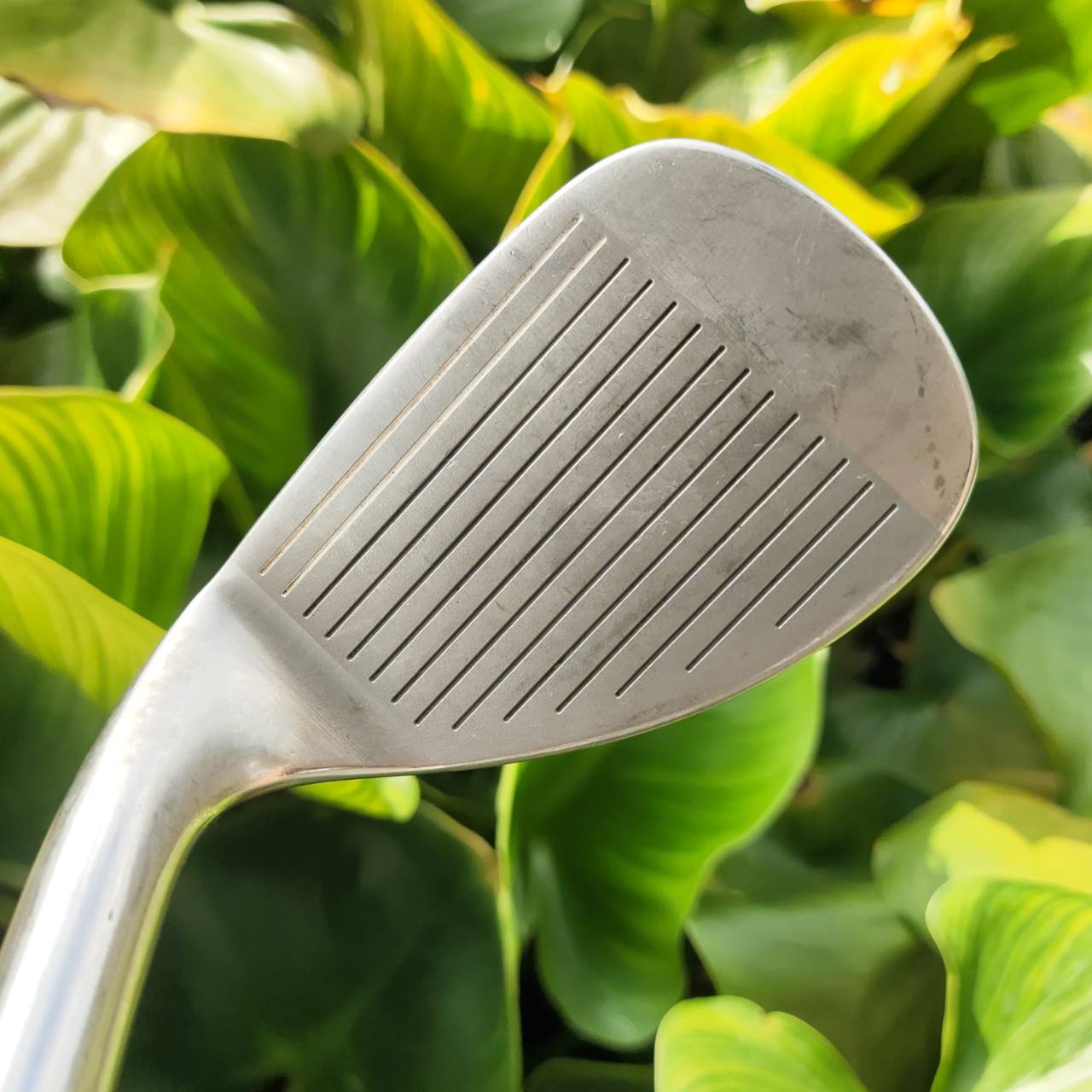 SW BRIDGESTONE BG100 เวดจ์ตีง่ายขึ้นทรายดี มีโพรง CAVITY ชิพแม่น ควบคุมระยะเยี่ยม