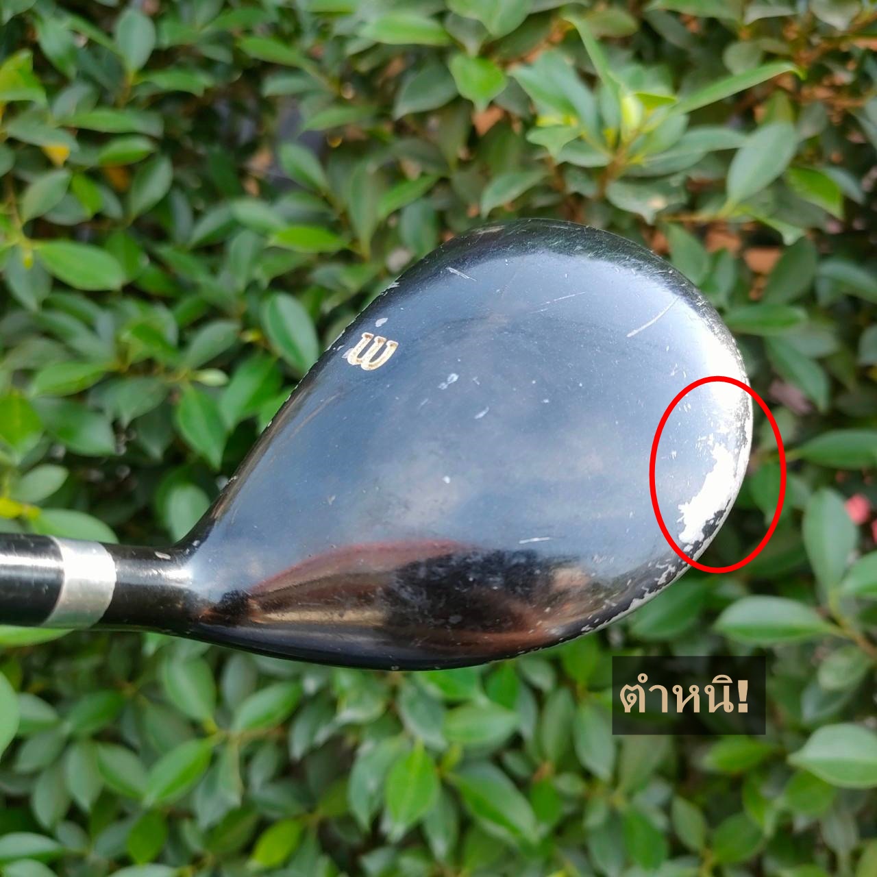 FW5 WILSON KILLER WHALE OVERSIZE องศา 20 ก้าน KILLER WHALE FLEX R ** กระดองมีรอยตำหนิ มีรูปให้ชมค่ะ **