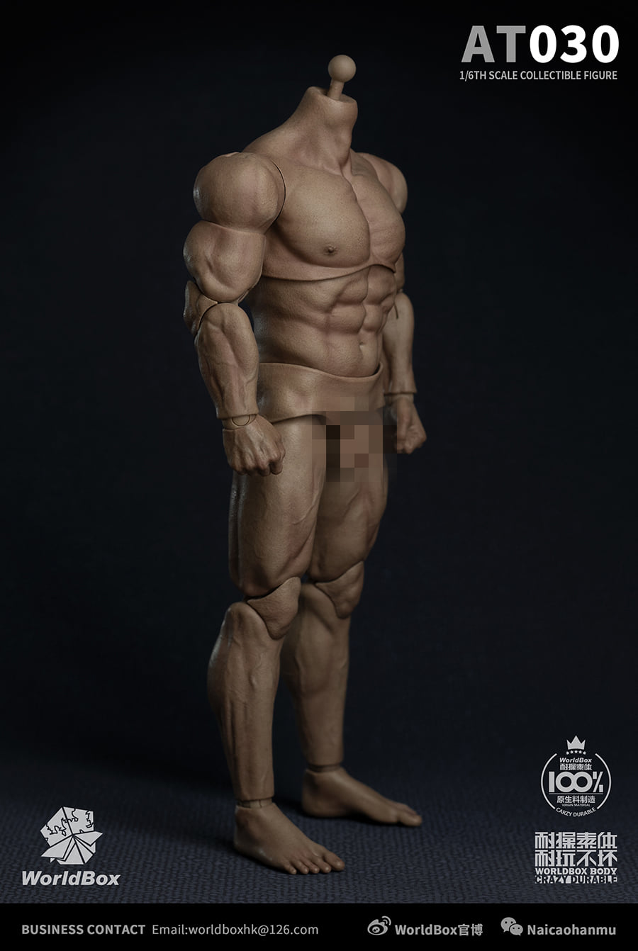 [สั่งจอง]Worldbox AT030 1/6 : DURABLE STRONG BODY