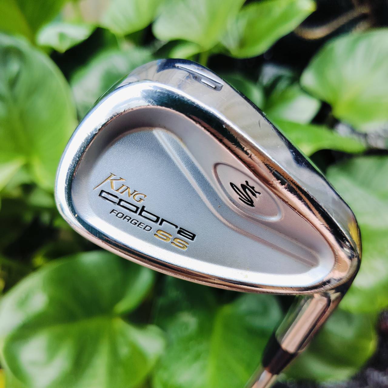 PW KING COBRA FORGED SS ก้าน DYNAMIC GOLD S300 ก้านเหมาะสำหรับ WEDGE อย่างมาก แม่นยำเป้าหมาย ใบ FORGED พรีเมี่ยม ไม้กอล์ฟมือสอง ของแท้ By NakaraLuxurious