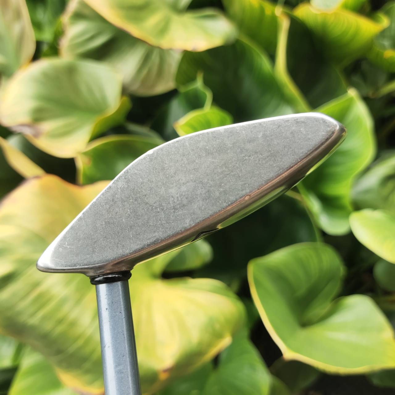 PUTTER CALLAWAY THE TUTTLE ทรงหลังเต่า ตัวดัง!! Tuttle Mallet พัตต์ดีมากกก