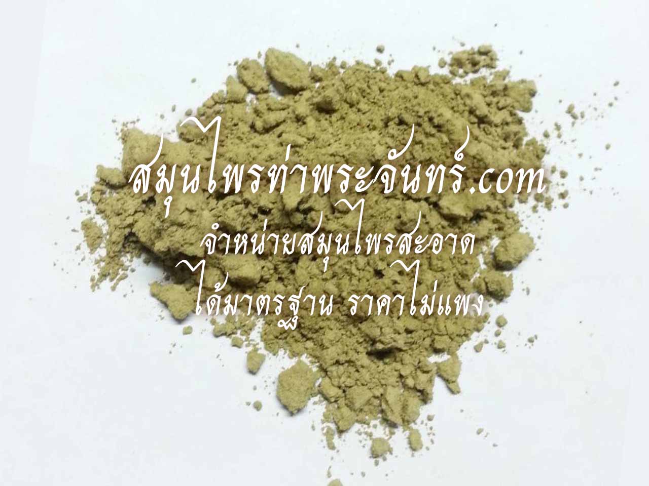 ใต้ใบผง ( 500กรัม - 1กิโล ) / ( 500g - 1kg ) สมุนไพรท่าพระจันทร์