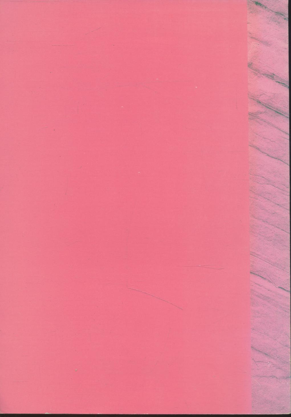 อันชนกชนนีนี้รักเจ้า เทียบเท่าชีวาก็ว่าได้ หลวงตามหาบัว ญาณสัมปันโน