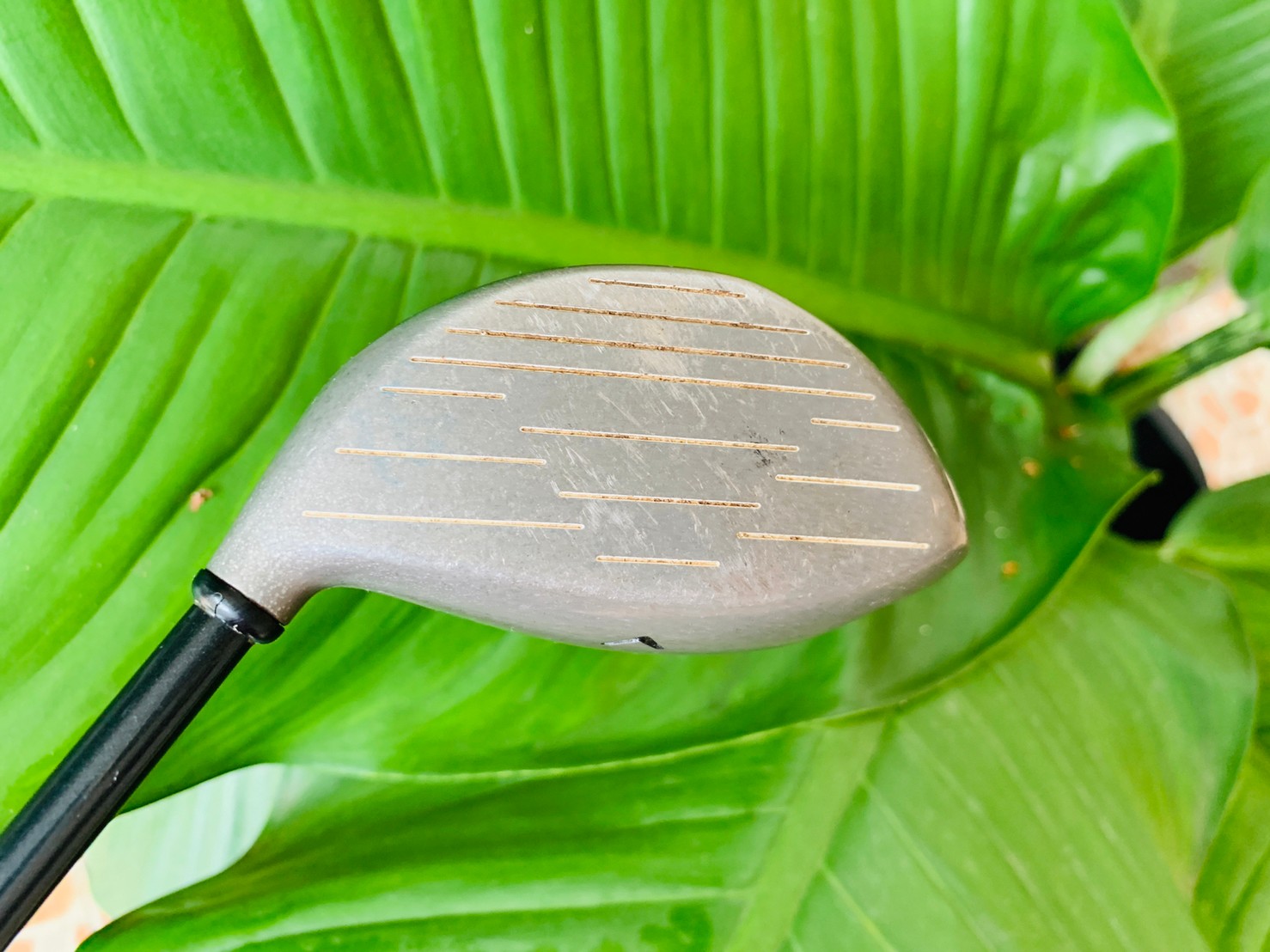 DRIVER BIG BIRD STEEL WOOD