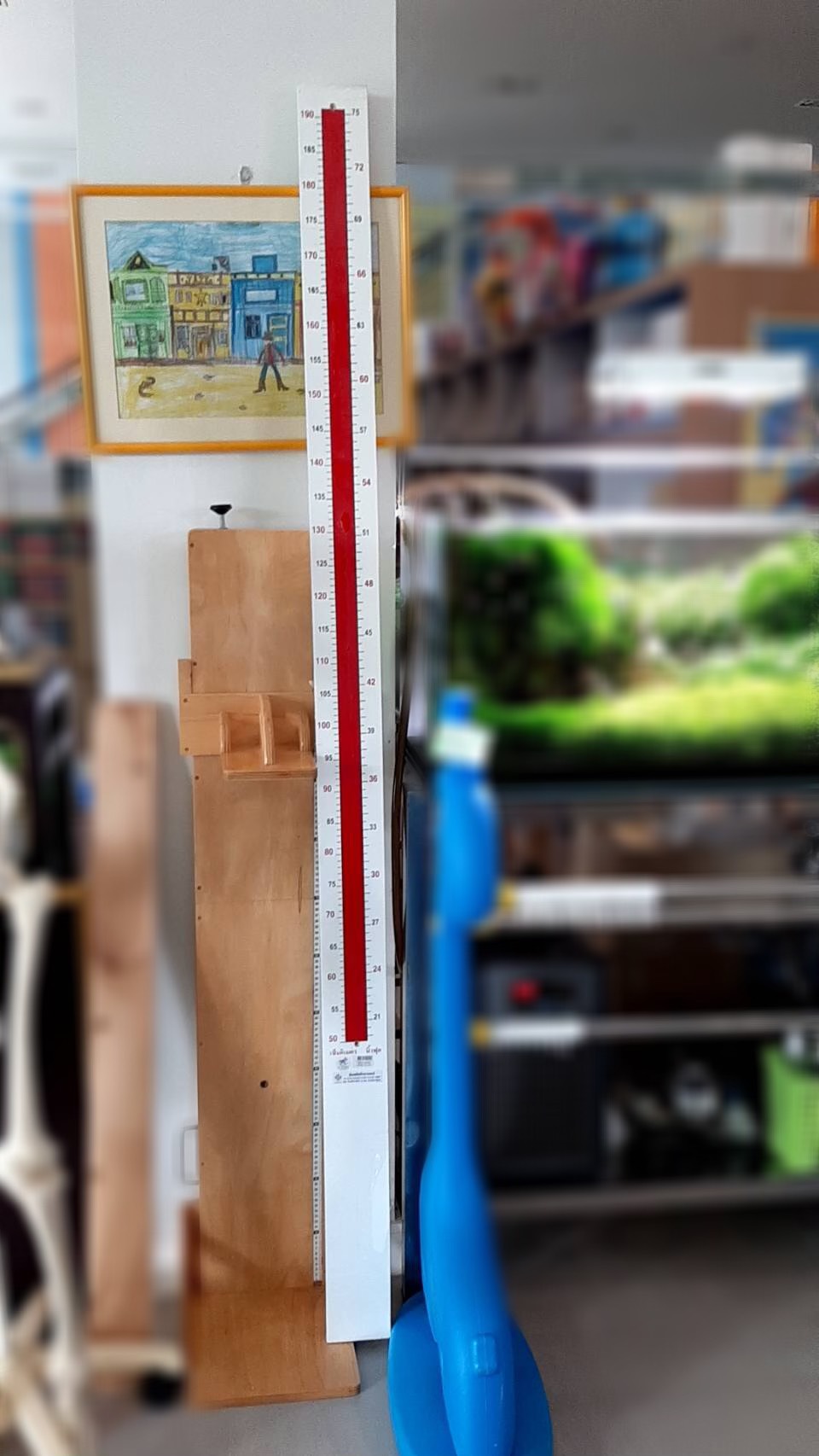 ไม้วัดยูนิเซฟ unicef ไม้วัดตั้งพื้น แบบยืน และแบบนอน สำหรับโรงพยาบาล โรงเรียน ไม้วัดส่วนสูงเด็ก