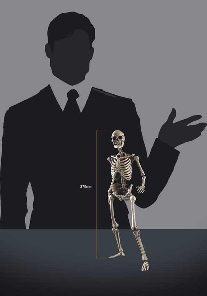 [สั่งจอง]COOMODEL NO.BS011 1/6 THE HUMAN SKELETON (DIECAST ALLOY)