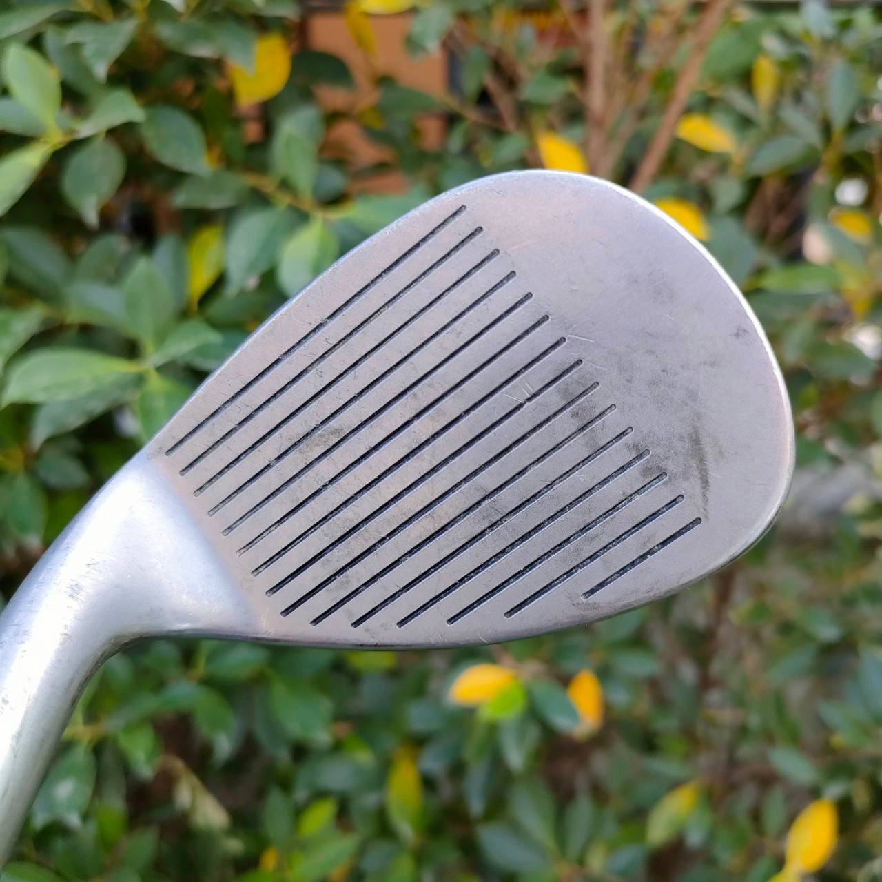 SW MIZUNO FORGED องศา 54 ก้าน DYNAMIC GOLD R300 WEDGE PREMIUM JAPAN