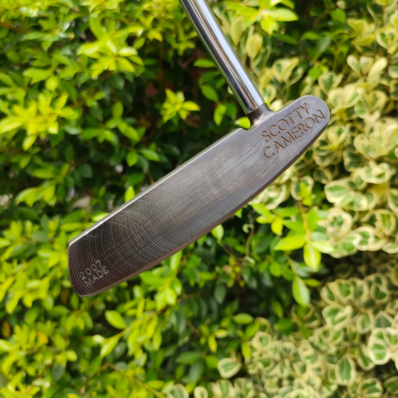 Scotty Cameron Catalina Classic ความยาว 34 นิ้ว สวยมากๆ พร้อม COVER เดิม เป็นรุ่น LIMITED หายากมากๆ ตอนนี้มืองสอง ราคาในต่างประเทศ ประมูลพุ่งไปถึง 5 หมื่นบาท สุดยอดของสุดยอดคุณภาพ สวย เดิม COVER เดิม