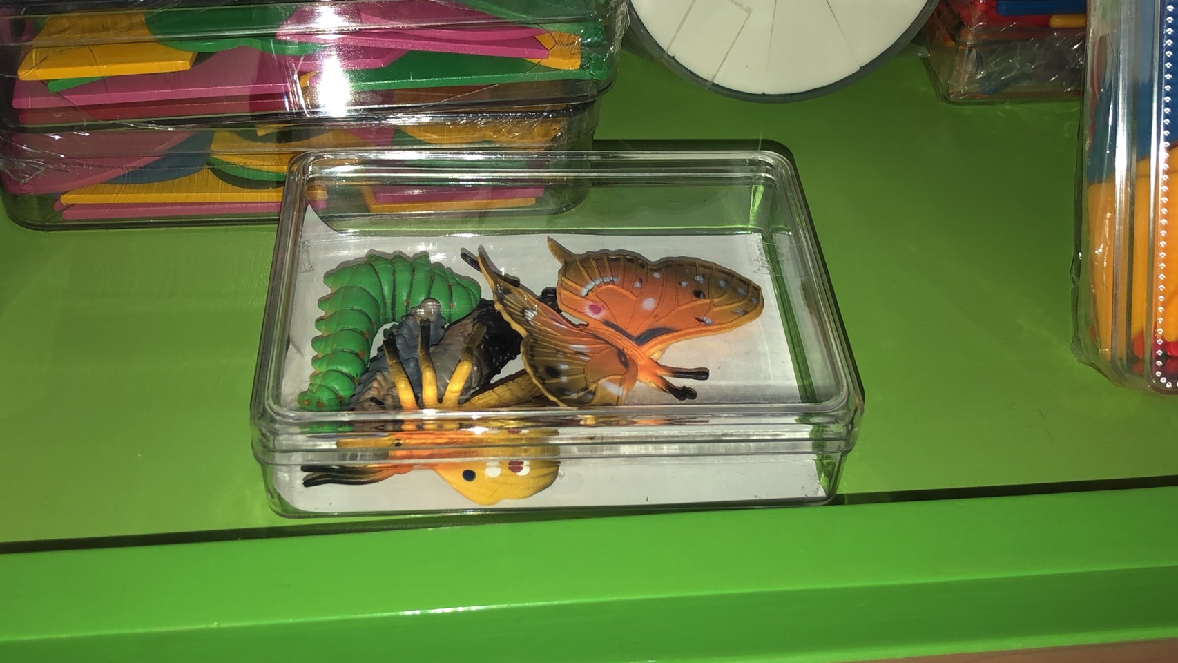 วงจรชีวิตผีเสื้อ , ของเล่นเสริมพัฒนาการ, ของเล่นเด็ก, สื่อการสอน