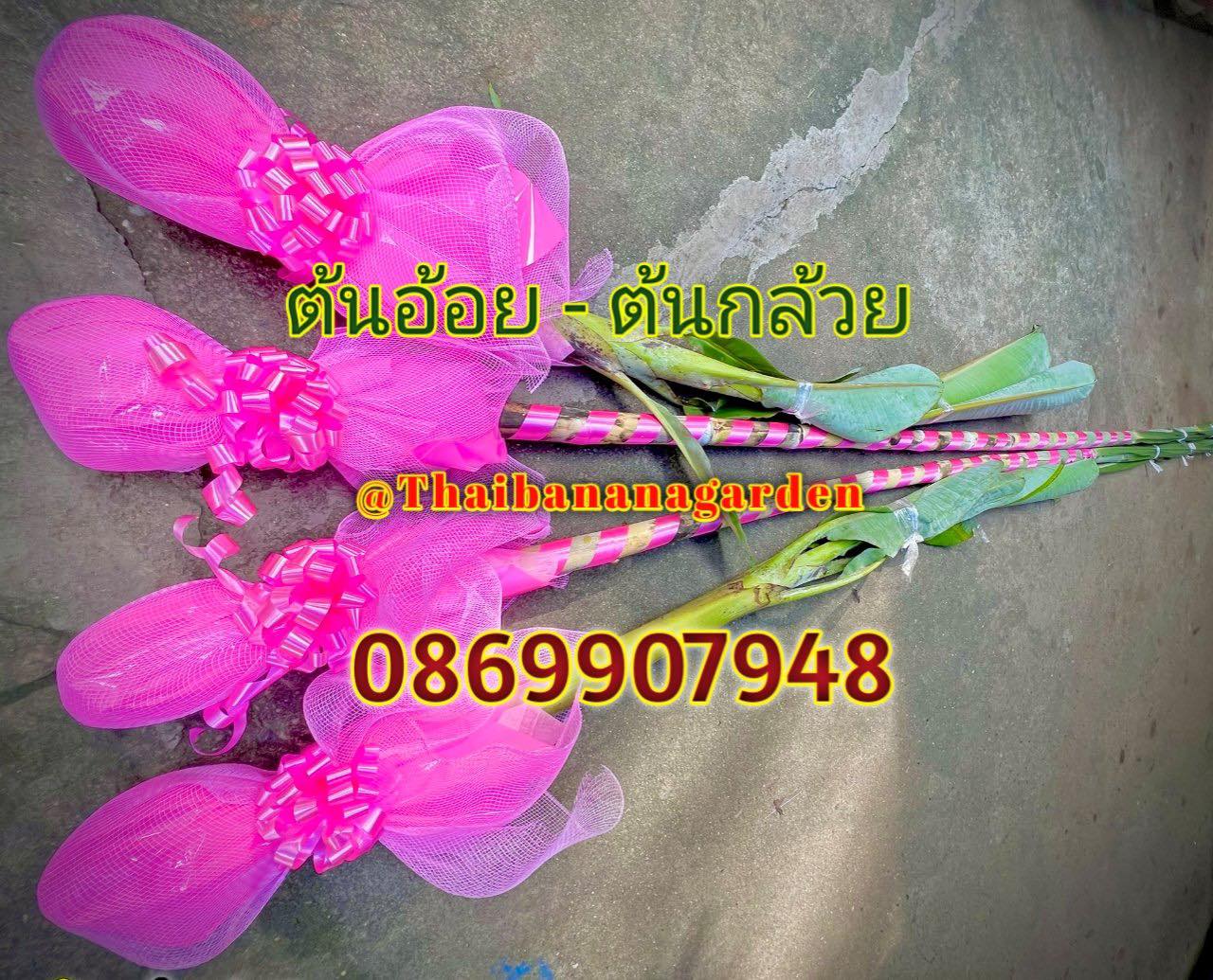 ต้นอ้อย ต้นกล้วย (ขันหมาก) (ทรงเครื่อง)