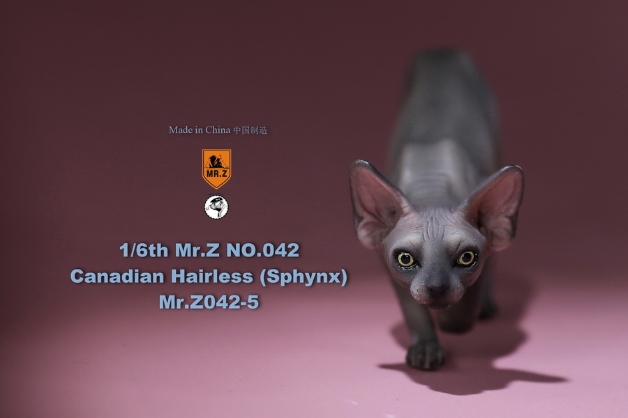 [สั่งจอง]แมวสฟิงก์ แมวน้อยขนกลับด้าน 1/6 Mr. Z Animal Model No.42: 1/6th Canadian Hairless (Sphynx)