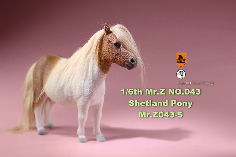 [สั่งจอง]น้องม้าน้อยโพนี่ 1/6 MR. Z Animal Model MRZ043 1/6th Shetland Pony(all 5 colors)