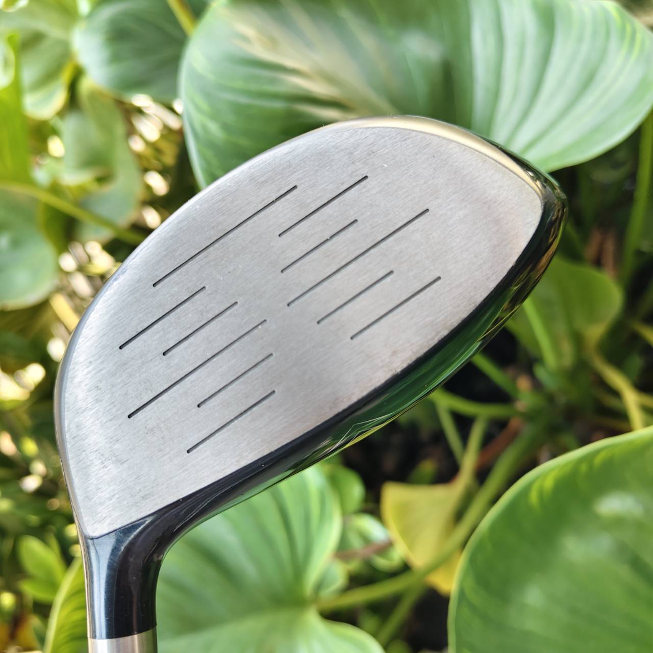 Driver TOURSTAGE V-GT – GEOMETRIC TECHNOLOGY ⛳ ทรงพลัง ควบคุมดี เด้งไกลตามฉบับ TOURSTAGE!