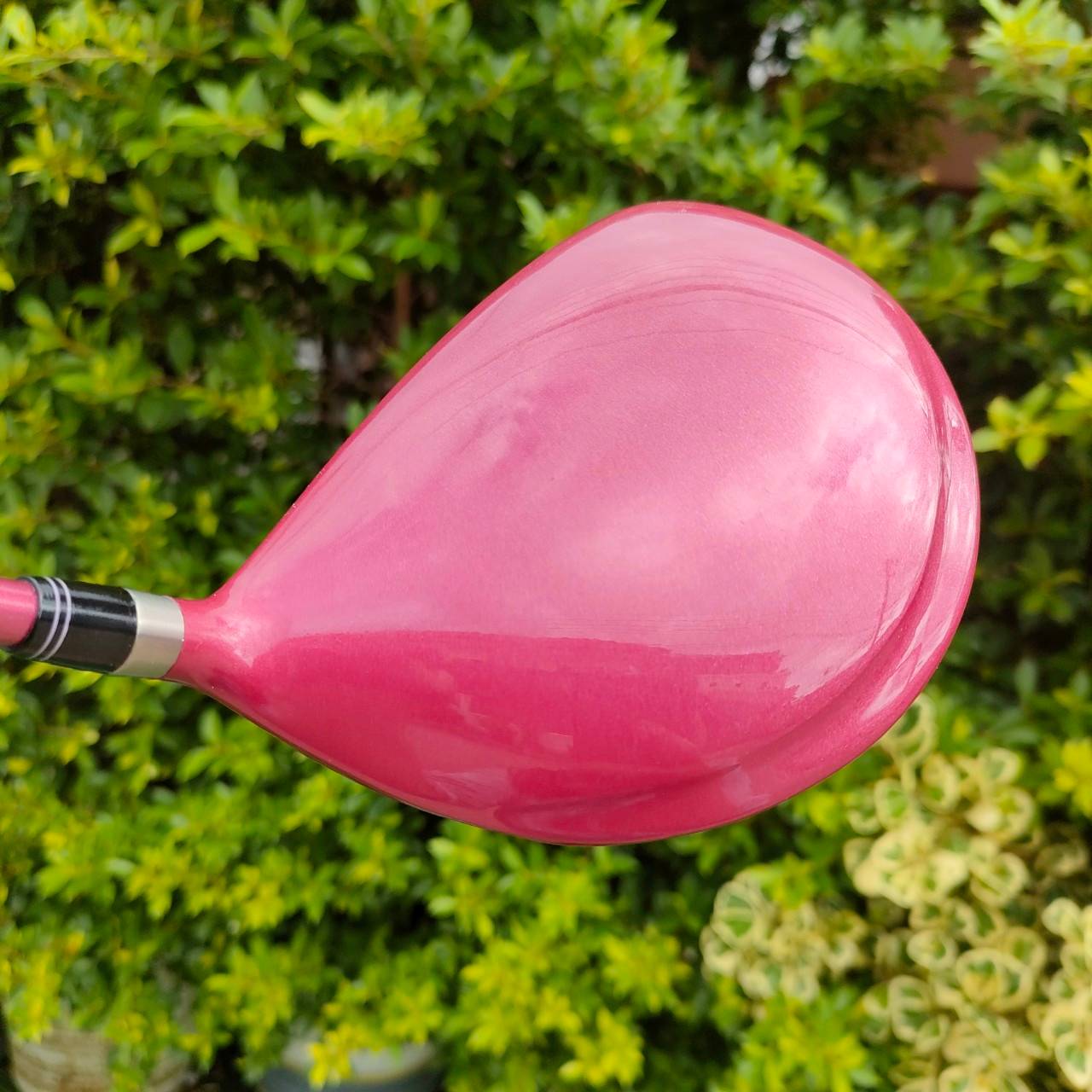 *ไม้กอล์ฟสำหรับผู้หญิง* DRIVER KASCO DIMPALS EL องศา 12 ก้าน DIMPALS FLEX L ** มาพร้อม COVER ตรงรุ่น ** สุดยอด Driver พรีเมี่ยมญี่ปุ่น!! ไม้กอล์ฟมือสอง ของแท้ BY NakaraLuxurious