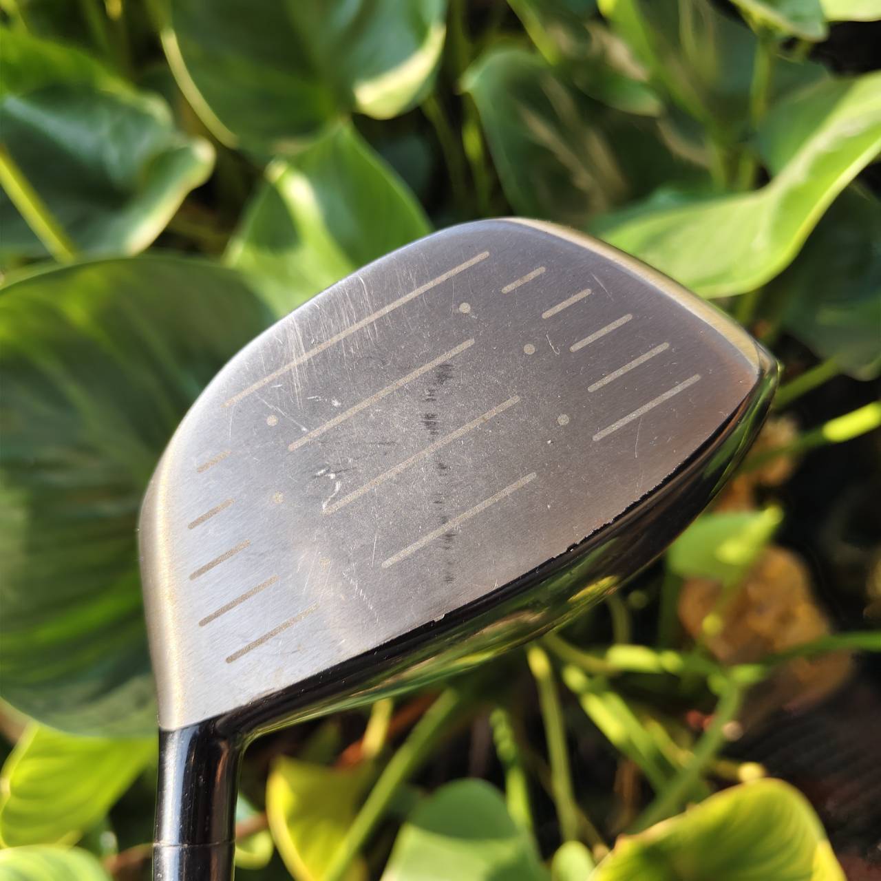 Driver MARUMAN EXIM NANO ของดีตีง่ายมาก!