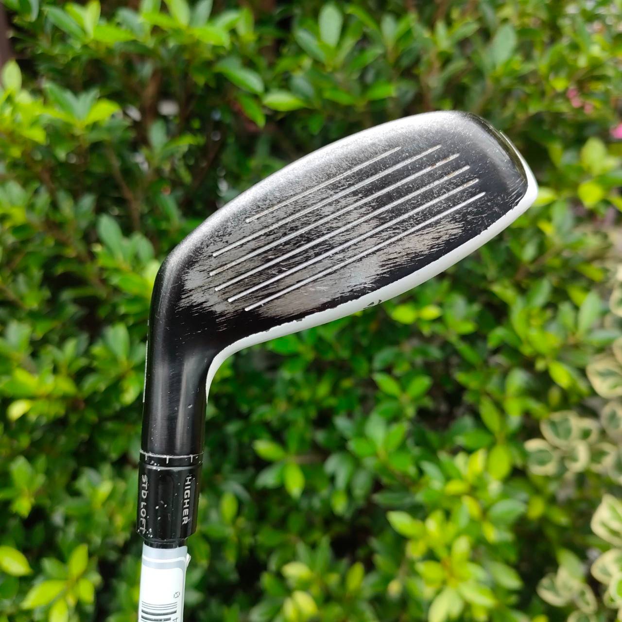 HYBRID 4 TAYLORMADE RESCUE ก้าน FUJIKURA MOTORE FLEX S องศา 21 เป็นตัว Rescue ที่ดีสมบูรณ์ที่สุด ของ taylormade ครับ
