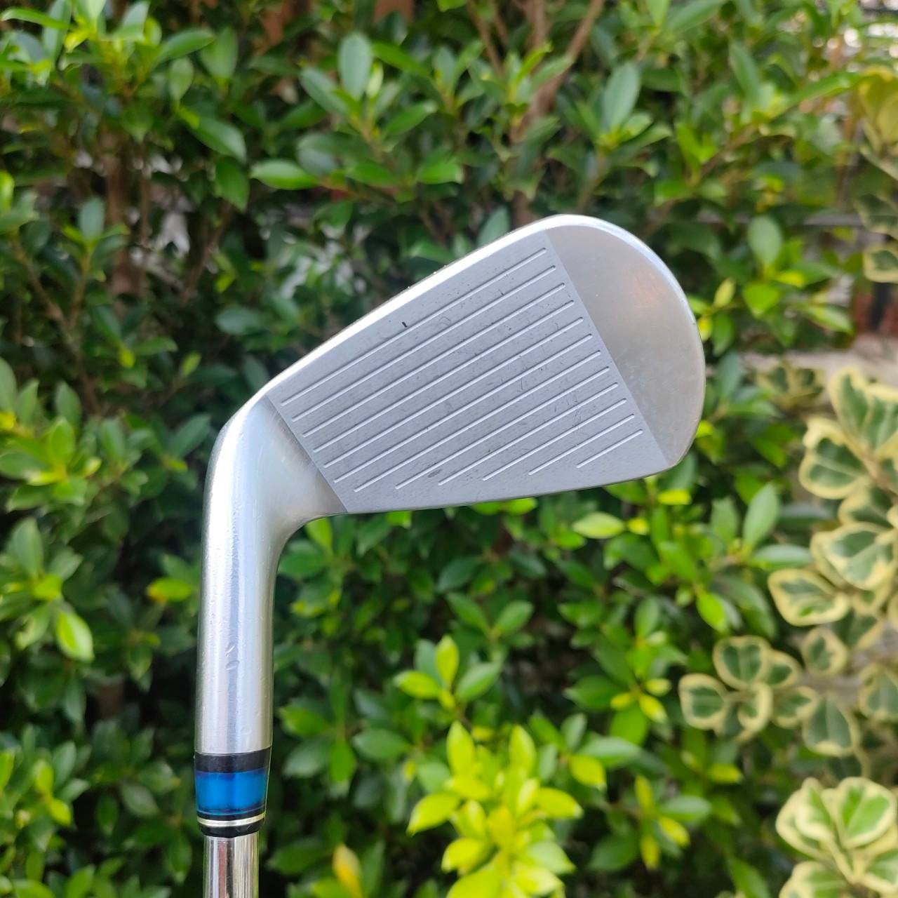 เหล็ก 7 SRIXON Z545 FORGED ก้าน N.S.PRO 980GH FLEX S สุดยอดเหล็ก 7 วัสดุ FORGED พรีเมี่ยมจากญี่ปุ่น วัสดุดีมาก นุ่ม และยังมี CAVITY ช่วยให้ตีง่าย ตัวนี้ทั้งนุ่ม ง่าย ก้านพรีเมี่ยมครับ