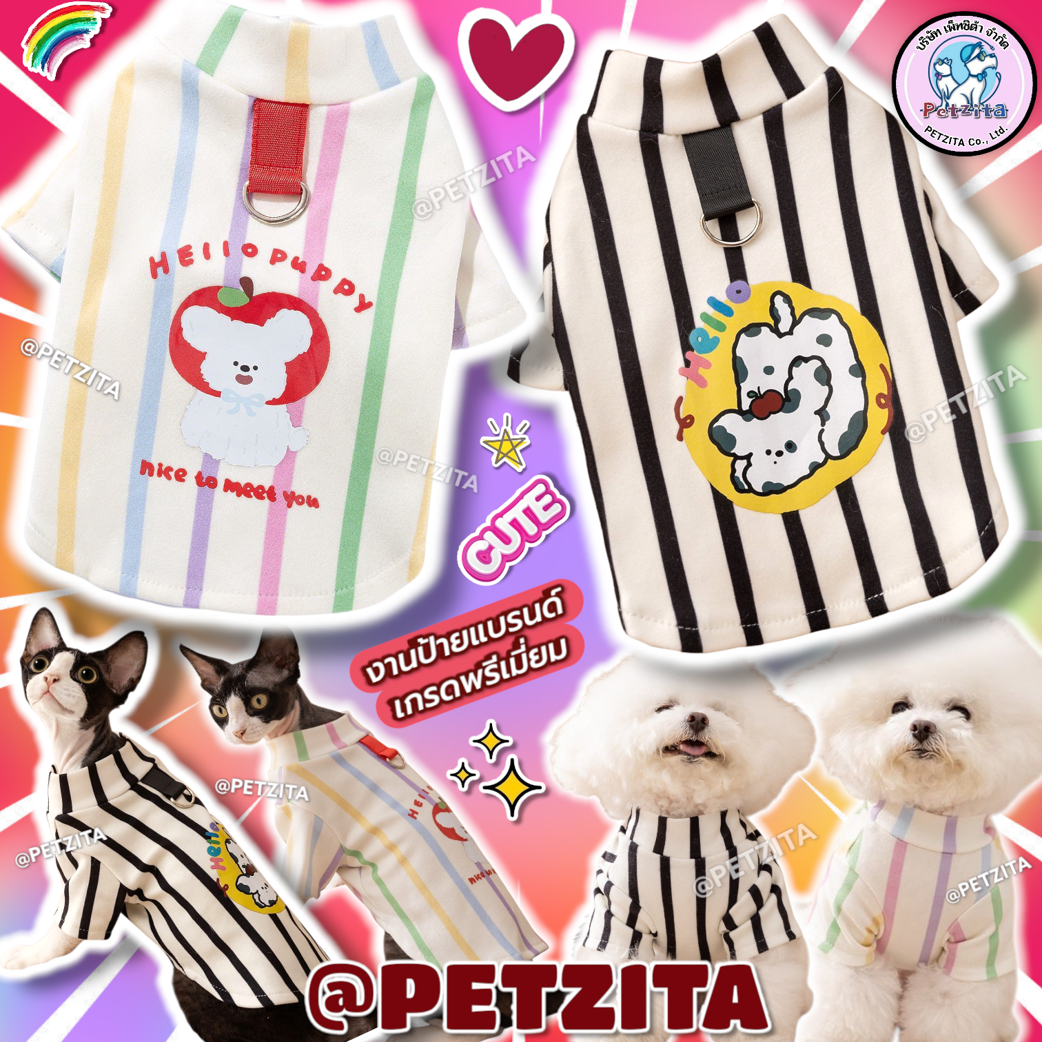 🇹🇭พร้อมส่ง🇹🇭 🌈 เสื้อสัตว์เลี้ยง ลายริ้วขวาง ดีเทลลายการ์ตูนน่ารัก for pet เสื้อสุนัข ชุดหมา ชุดแมว