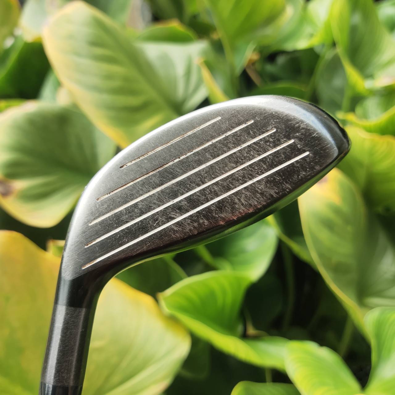 FW3 PING i20 องศา 15 ก้าน PROJECT X 5.5 แค่ก้านก็คุ้มเกินคุ้ม ชดเชยสูง ไม่แม่นกลางก็ยังไปได้ดีมาก