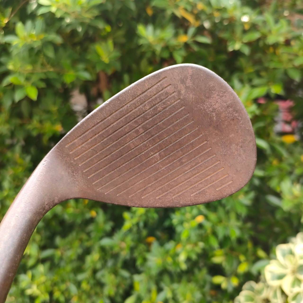 WEDGE TITLELIST BV VOKEY DESIGN องศา 58 เบาท์ 12 รุ่น MILD STEEL ก้าน DYNAMIC GOLD FLEX WEDGE รุ่นสนิม เนื้อแท้ไม่เคลือบ ฟีลลิ่งดีมากๆ ไม้กอล์ฟมือสอง ของแท้ BY NakaraLuxurious