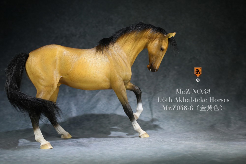 [สั่งจอง] Mr.Z Mr.Z048 1/6th animal model : Horse
