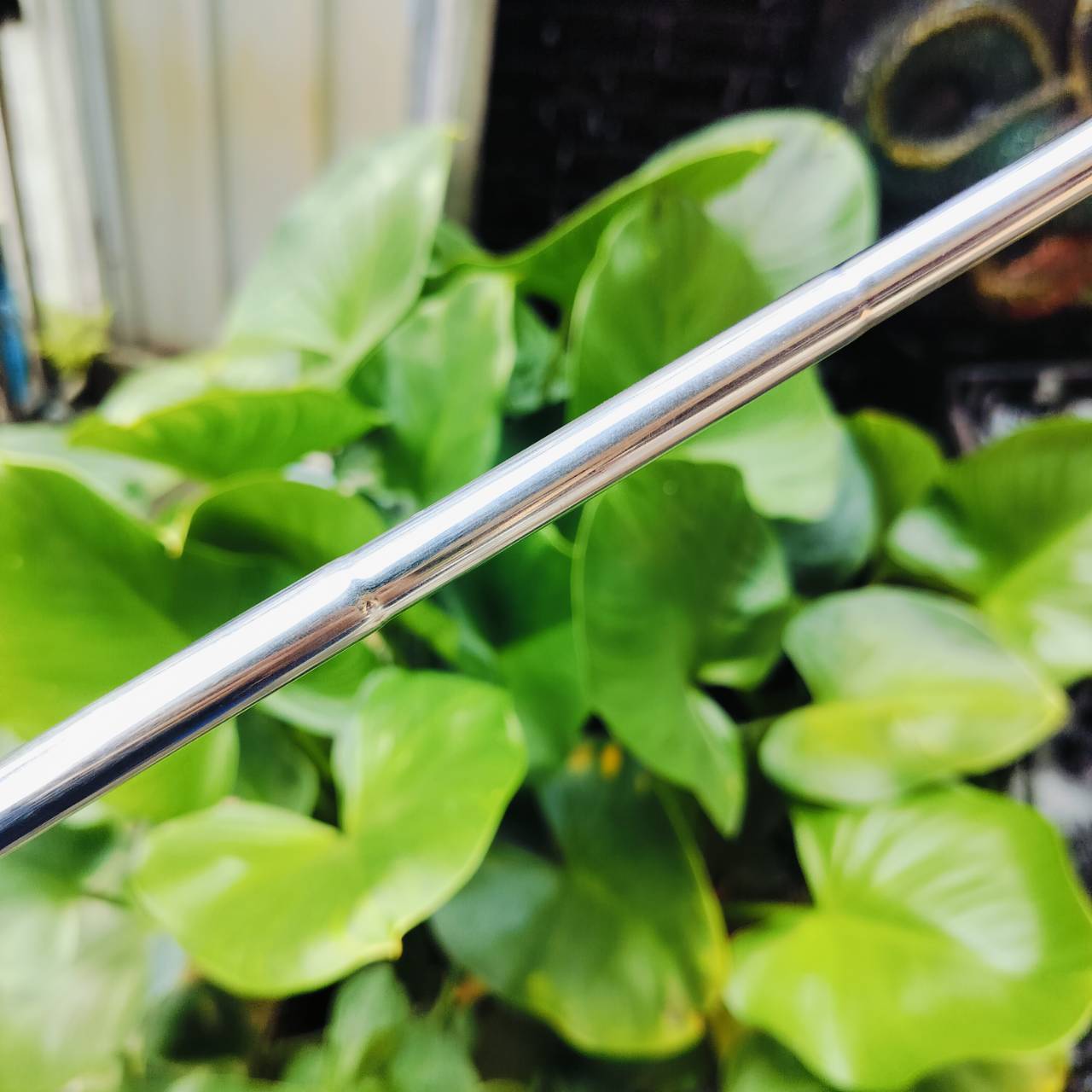 PUTTER PING ANSER 3 Phoenix, Arizona ความยาว 33 นิ้ว วัสดุทองเหลือง Brass แท้ๆเลยค่ะ ไม้กอล์ฟพรีเมี่ยมมือสอง ของแท้ By NakaraLuxurious
