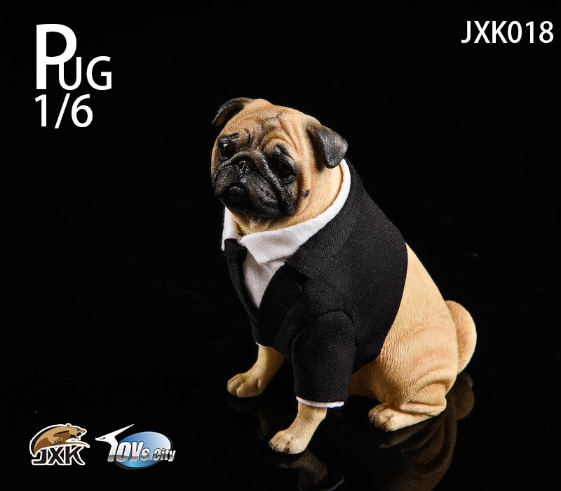 [สั่งจอง]JXK 1/6 JXK018 pug in Black-FRANK